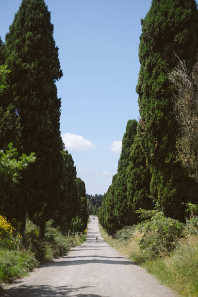 Young woman bicycles through rural landscape, Bike packing from Volterra crossing through the countryside to San Gimignano, Tuscany
