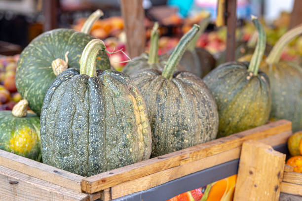 istock Green pumpkins in a wooden box 2168217848
