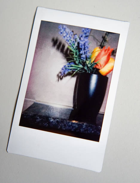 istock Instant photography image of flowers 2168222633