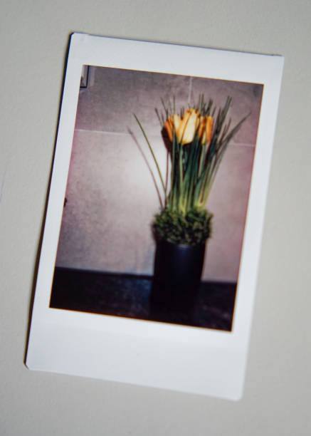 istock Instant photography image of flowers 2168222659