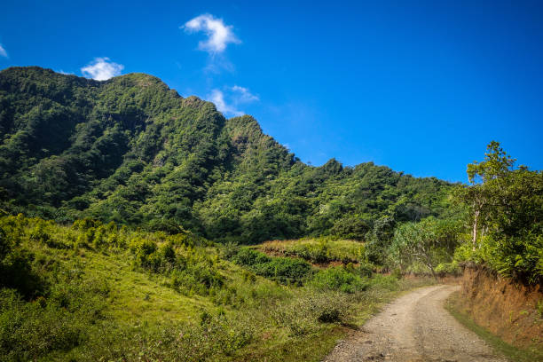 istock Rural Drive Through Hawaiian Rainforest 2168229847