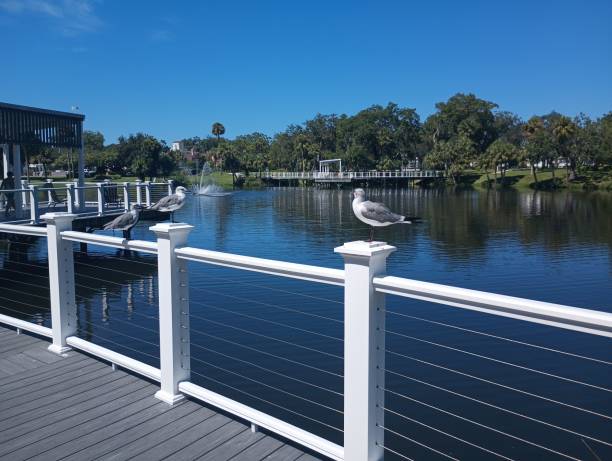 istock Sims Park, New Port Richey. Florida 2168235227