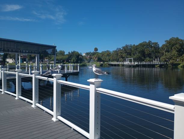 istock Sims Park, New Port Richey. Florida 2168235250