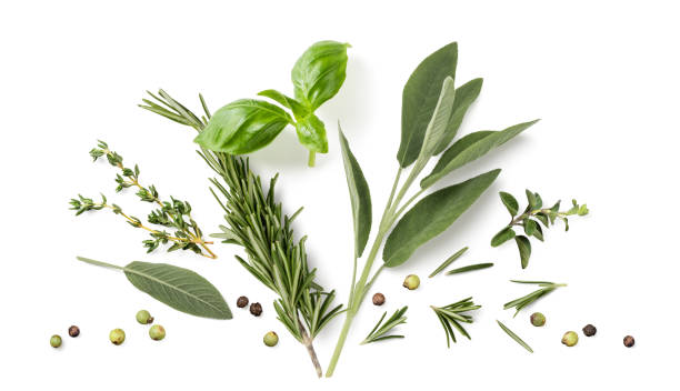 istock Fresh organic Mediterranean herbs and spices elements isolated over a white background, sage, rosemary twig and leaves, thyme, oregano, basil, green and black pepper, cut out healthy eating, food, vegan and vegetarian diet design element, flat lay 2168246454
