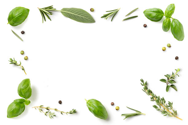 istock frame / border made of loosely spread mediterranean herbs isolated over a white background, basil, thyme, oregano, rosemary, sage and green and black pepper, cut out herbs and food element 2168246484