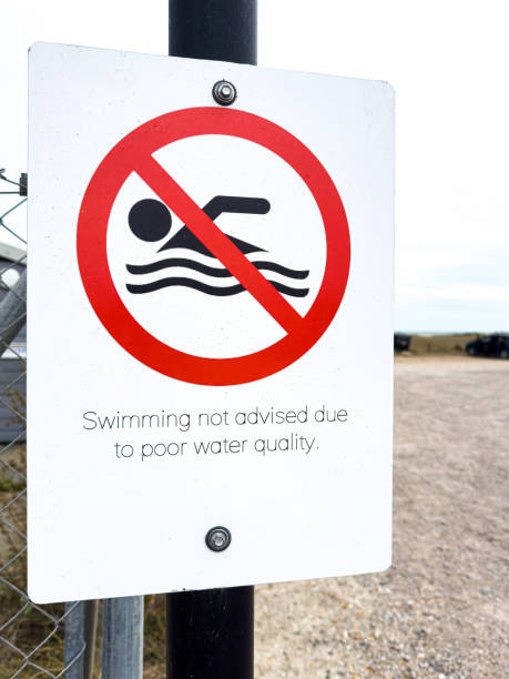 istock No swimming sign on the beach - pollution 2168252444