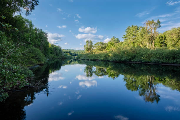 istock Oxtongue River after sunrise 2168259569