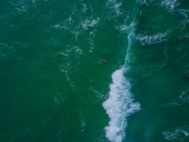 istock 2 surfers at Buffalo Bay 2168270496