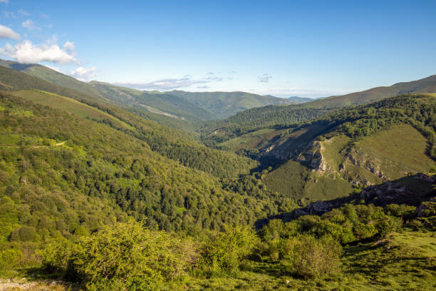 istock Panoramic view of the idyllic green Cantabrian valleys 2168272083