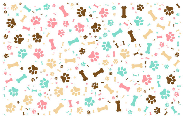 Colorful Paw Prints And Bones Pattern On White Background Bright and playful pattern featuring colorful paw prints and bones. Perfect for pet-themed designs, crafts, and backgrounds. Ideal for animal lovers and creative projects. bone stock illustrations
