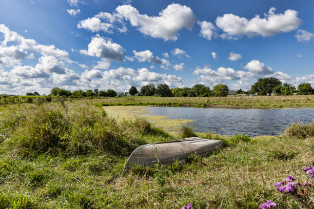 A small row boat rests on the bank of a pond in summer.
