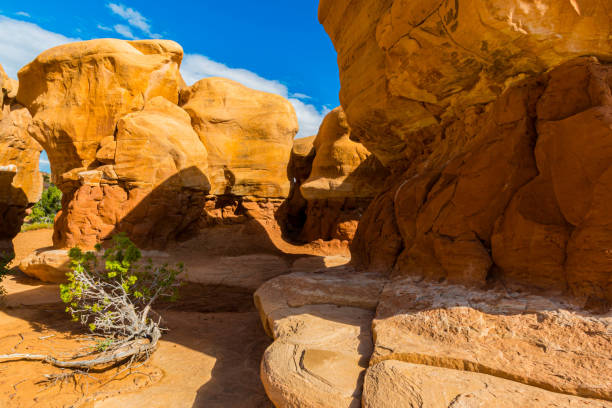 Hoodoos and Slick Rock Walls at The Devils Rock Garden on The Kaiparowits Plateau, Grand Staircase-Escalante National Monument, Utah, USA