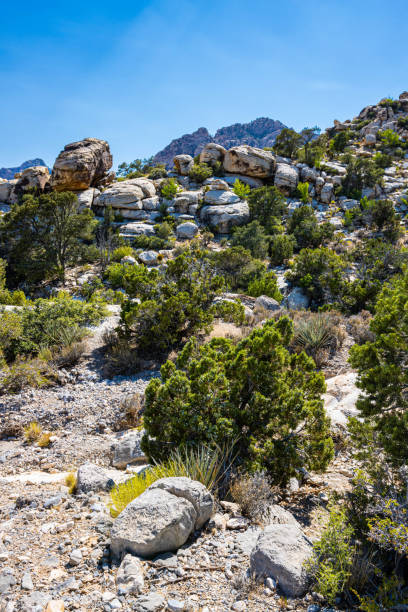 The Rainbow Mountains  and White Sandstone Formation