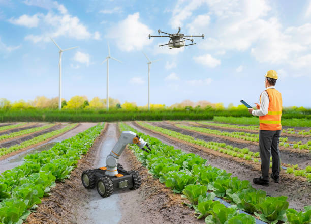 istock Agriculture technology with agricultural engineer work with drone fly above 2168288241