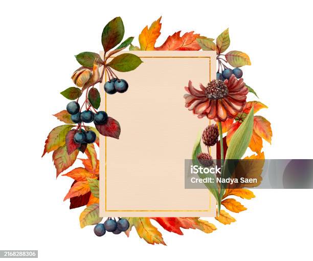 Rectagular Fall Frame Rectangular Frame With Autumn Watercolor Leaf And Berry Hand Drawn ...