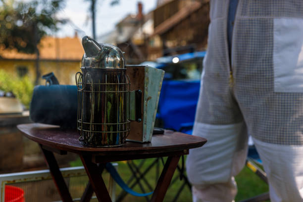 Senior Latino man in light-colored clothing prepares for beekeeping in a backyard setting. Wooden table displays essential equipment including metal smoker and protective gear, emphasizing safety measures for residential bee management.