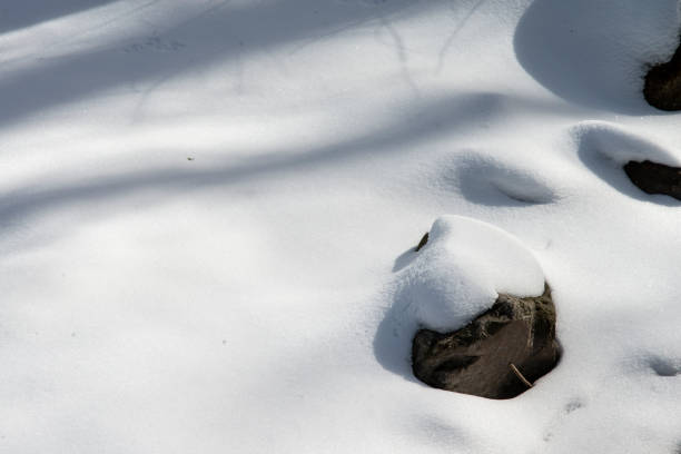 A rock in the water. Outdoor. Snow. Nature. Hill