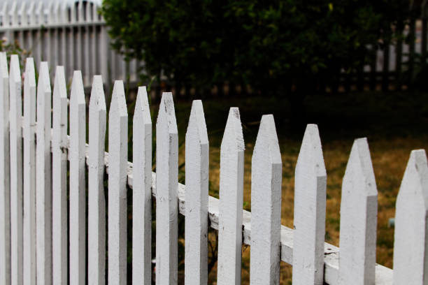 A white fence runs along a path with autumn leaves scattered on the ground, showcasing an outdoor autumn scene.