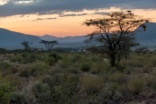 istock Africa, Kenya, Samburu National Reserve. Sunset. 2016-08-04 2168302150