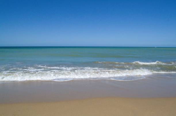 istock Many beaches in Margarita, Venezuela. 2168303938