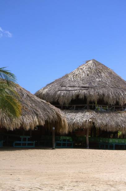 istock Backgrounds and textures on Margarita Island. 2168304098