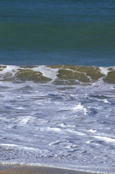 istock Many beaches in Margarita, Venezuela. 2168304584