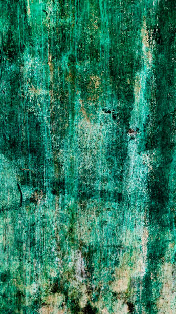 istock green walls with an abstract-patterned portrait display 2168305854