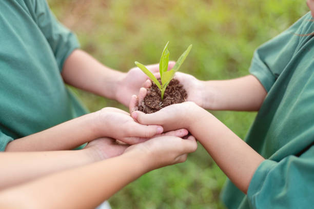 istock three children holding a plant in their hands 2168308523