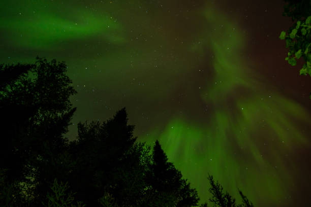 Aurora Borealis, Northern Minnesota, August 2024