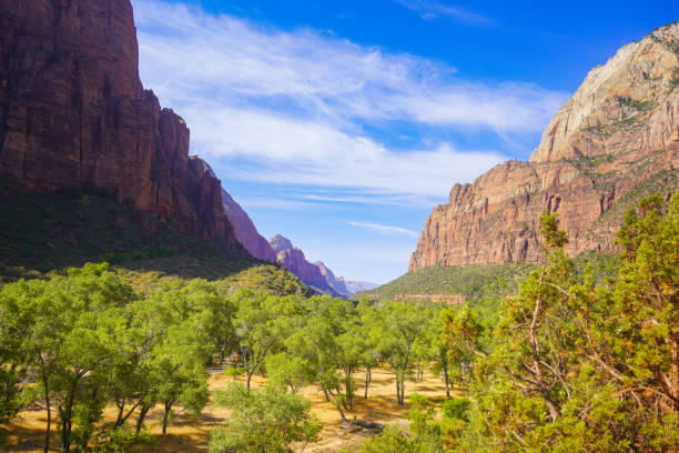 Valley in Zion National Park on a sunny day