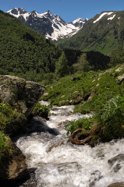 istock Snow-capped mountain with stream flowing 2168316856