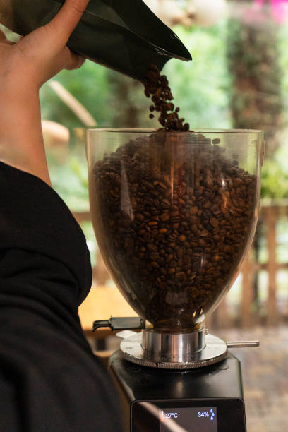 istock A woman's hand pours Arabica beans into a container for grinding coffee 2168322633