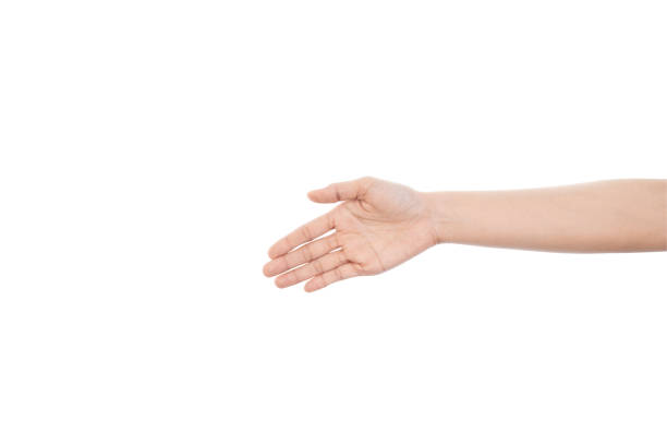 Female hand giving hand for shaking isolated on white background with clipping path.