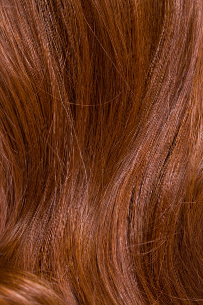 istock A woman's hair is being styled with a comb 2168327398