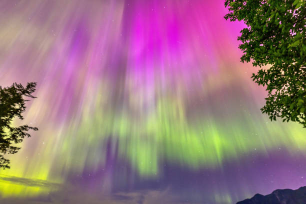 Beautiful green aurora borealis at midnight sky, Alaska, USA.