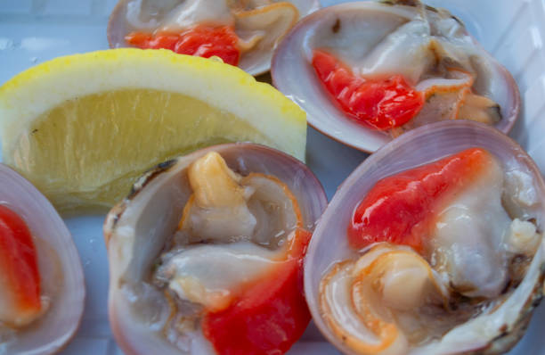 On withe plate 4 Callista chione, raw smooth clams, on left a slice of lemon