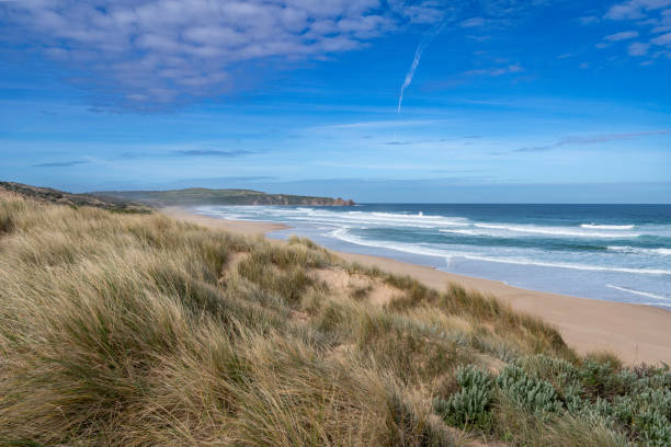 istock Pinnacles, Cape Woolamai, Phillip Island, Australia 2168337152