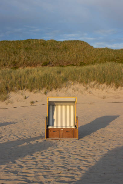 Beach chairs in Wenningstedt on Sylt at the northsea in Germany