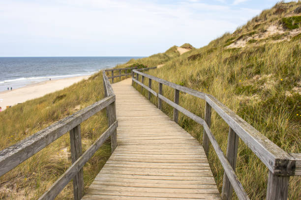 istock Dune hiking trail at the red cliff on sylt 2168338718