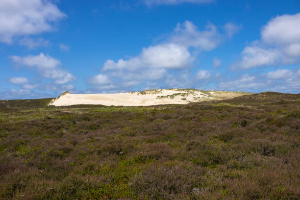 Wandering dune on Sylt in summer