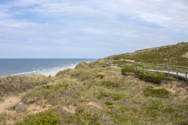 Dune hiking trail at the red cliff on sylt