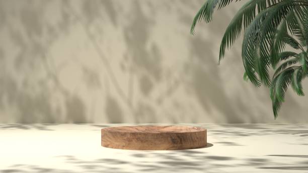 istock empty wooden stand display with tropical plant, premium podium and natural leaf shadow on wall background. 2168339720