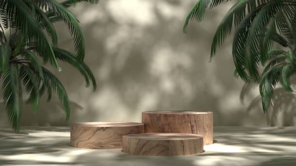 istock empty wooden stand display with tropical plant, premium podium and natural leaf shadow on wall background. 2168339886