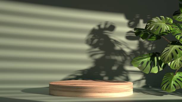 istock 3D empty wooden stand display with tropical plant, minimal podium and natural sunlight from window, 2168340105