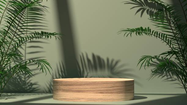 istock 3D empty wooden stand display with tropical plant, minimal podium and natural sunlight from window, 2168340106