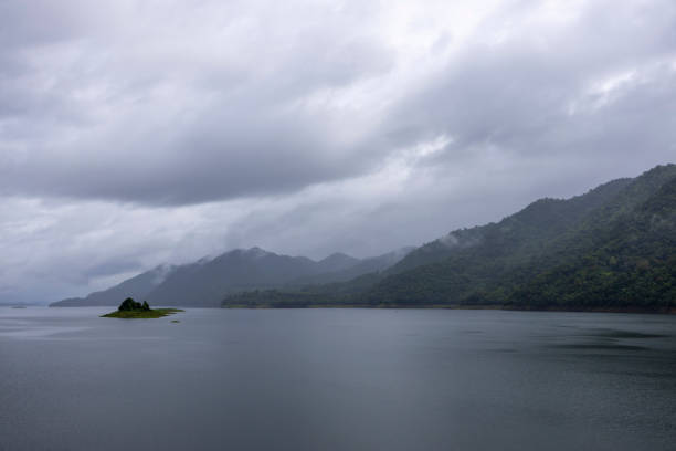 Fog on the mountain and rainforest.