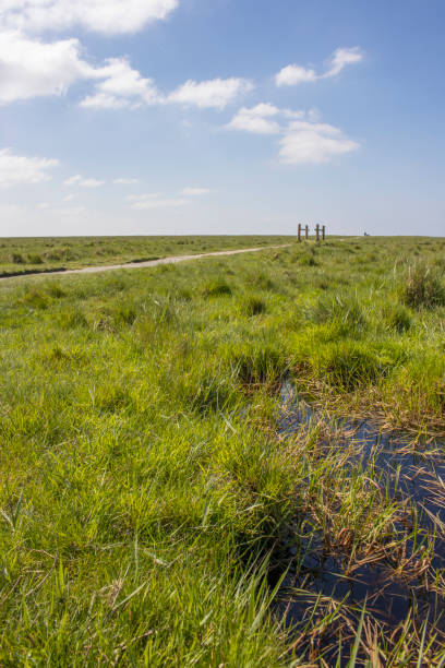 istock Nature reserve in Sankt Peter-Ording 2168340589