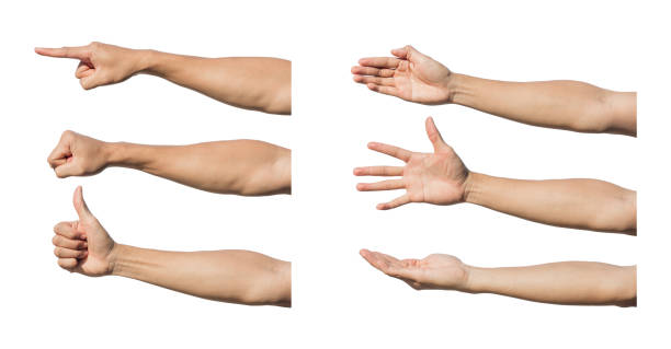 istock Set of hand gestures isolated over the white background. Clipping Path 2168342427