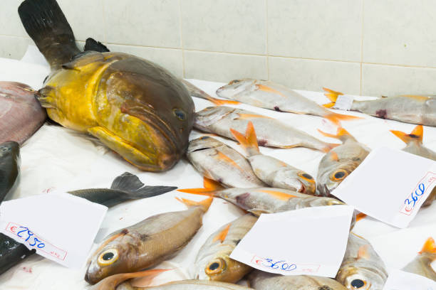 Various types of fresh fish in a small fish market in Sicily. Horizontal.