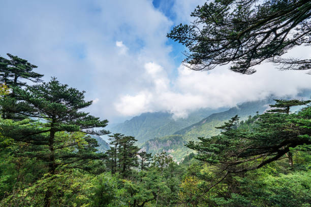 istock China Qinling Forest Park Scenery 2168349964